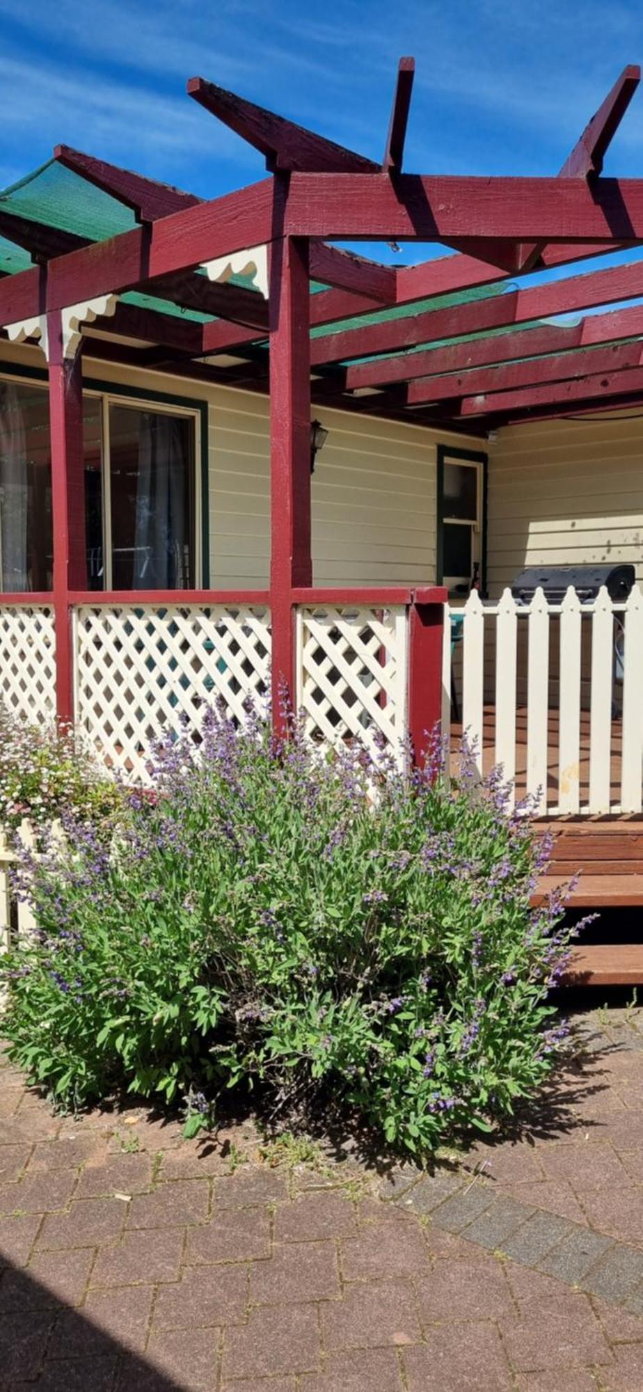 Belle Cottage 스코츠데일 외부 사진